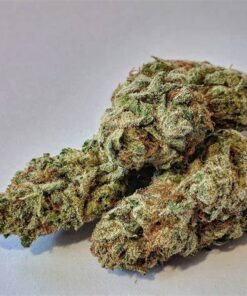 Buy Cannabis Online Kalgoorlie - Boulder Buy Weed In Australia. Its effects are strong and come quickly before dissipating to a euphoric and creative high.