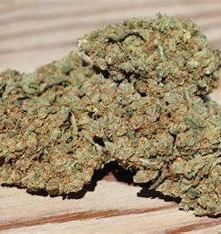 Where to Buy Weed Online Griffith Buy Cannabis Online Australia. Consumers typically describe this sativa hybrid as blissful, clear-headed, and creative.