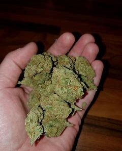 Buy Cannabis Online Brisbane Buy Weed Online Brisbane Where To Buy Cannabis Online In Brisbane 420 Delivery Brisbane. Are THC Weeds are All Grade AA+