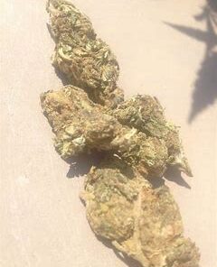 Where to Buy Cannabis Online Whyalla Buy Weed Online Whyalla. It has gained popularity worldwide for its sweet smell and energetic, uplifting effects.