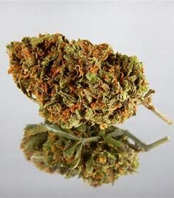 Buy Cannabis Online Coffs Harbour Buy Weed Online In Australia. It provides uplifting effects that energize you while staying calm and free from stress.