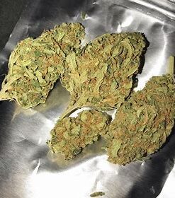 Alternative view of Super Silver Haze