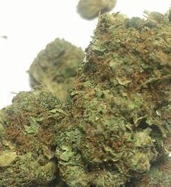 Alternative view of Sour Diesel Strain