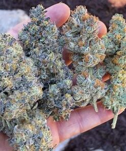 Alternative view of Do-Si-Do Strain