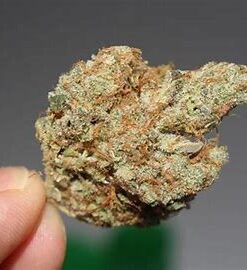 Where to Buy Weed Online Australia Buy Weed Online In Bendigo. One of the most uplifting strains available. It helps manage anxiety, depression.