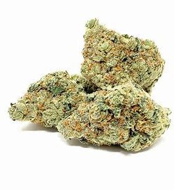 Alternative view of Girl Scout Cookies Strain