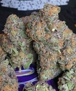 Where To Buy Cannabis Online Cairns Buy Weed Online In Cairns. Its effects are clearly detectable delivering a fusion of cerebral euphoria and relaxation.