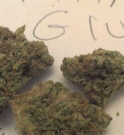 Where to Buy Weed Online Canberra Buy Cannabis In Canberra. Its a potent hybrid marijuana strain that delivers heavy-handed euphoria and relaxation.