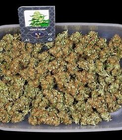 Where to Buy Cannabis Online In Brisbane Buy Weed In Brisbane. It produces bold, relaxing effects that you can feel through your entire body.