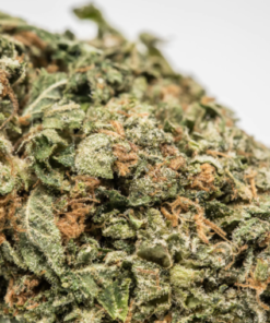 Alternative view of Bruce Banner Strain