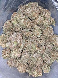 Where to Buy Weed Online Bundaberg Buy Cannabis Bundaberg. Not for beginners, as it offers long-lasting stimulating effects with a potent psychedelic bent.