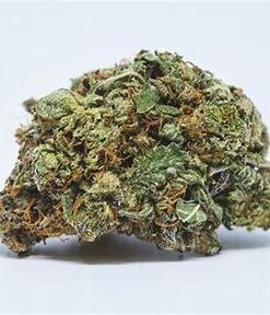 Alternative view of Grandaddy Purple Strain