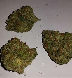 Alternative view of Green Crack Strain