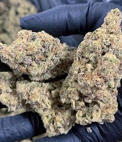 Where to Buy Weed Online In Perth Buy Cannabis Online In Perth. This strain offers fruity and citrus flavors with spicy hints of coffee and kush.