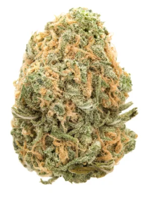 Blue Dream strain in Australia