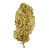 Jack Herer strain in Australia