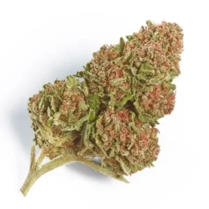 Northern Lights strain in Australia