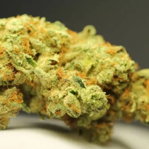 Indica
